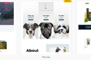 Astra Premium Starter Templates v4.4.44(Astra Premium Starter Templates) | Astra高级模板下载