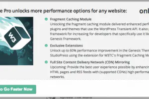 W3 Total Cache Pro v2.9.1 WordPress网站打开速度优化插件下载