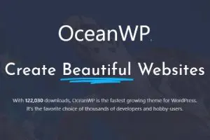 【精品】OceanWP Pro v4.1.4 (Ocean Extra v2.5.1 +所有拓展插件) 下载