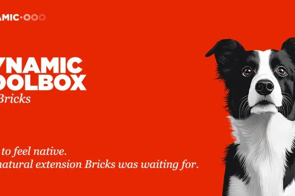 Dynamic.ooo v1.1.2 – Dynamic Toolbox for Bricks动态工具插件下载