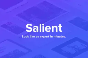 (亲测)Salient v18.0 – 响应式多功能主题下载