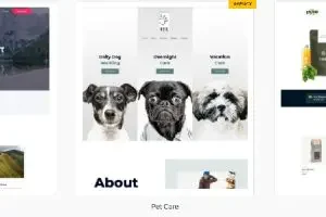 Astra Premium Starter Templates v4.4.46（Astra Premium Starter Templates） | Astra高级模板下载