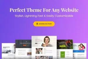 Astra PRO addon v4.12.0 Astra Portfolio 1.13.1 WordPress流行主题高级版插件下载