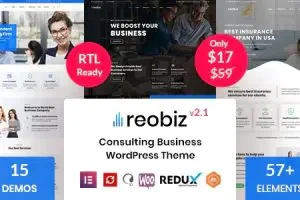 Reobiz GPL v7.0.0 – 咨询业务 WordPress 主题下载