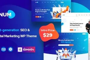 Onum v1.2.16.17 – SEO 和营销 Elementor WordPress 主题下载