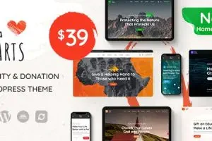 BigHearts v.3.1.13 – 慈善与捐赠 WordPress 主题破解下载